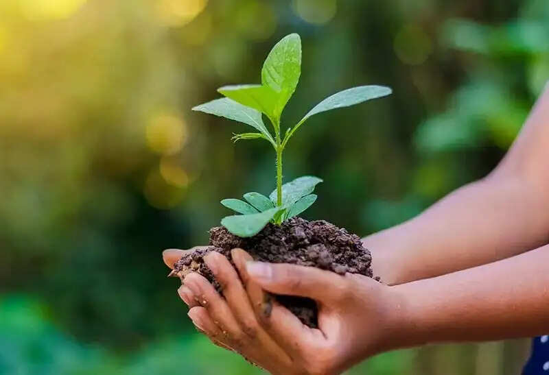 मप्रः विश्व पर्यावरण दिवस पर आज होंगी विशेष ग्राम सभाएं