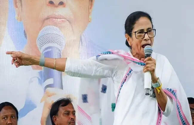 ‘गेमप्लान जितना भी बना लो, खेला होगा और इस बार जोरदार खेला होगा’, विष्णुपुर से भाजपा पर ममता का निशाना