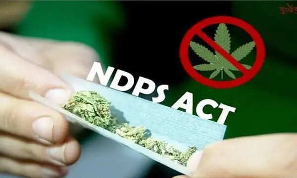 शिमला में अलग-अलग मामलों में हेरोइन और चरस बरामद, चार गिरफ्तार