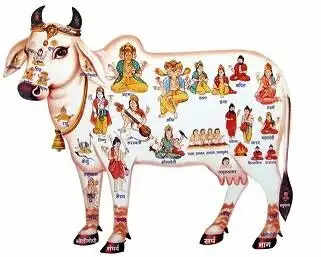 देश-प्रदेश में एक साथ उठेगी आवाज: गाे माता को मिले राष्ट्रमाता का दर्जा, गाेहत्या पर लगे पूर्ण प्रतिबंध