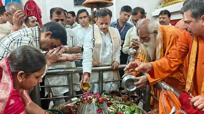 रीवाः उप मुख्यमंत्री शुक्ल ने प्राकृतिक खेती का लिया जायजा