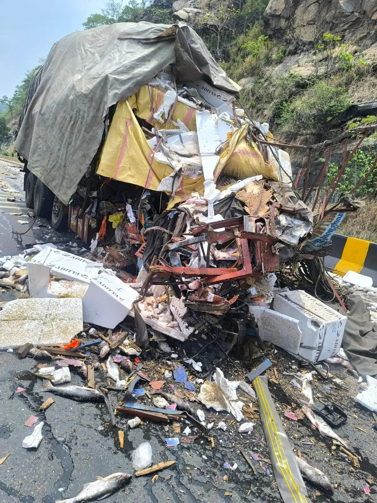 घाटी में ट्रक ने ट्रेलर को मारी टक्कर, ड्राइवर की मौत