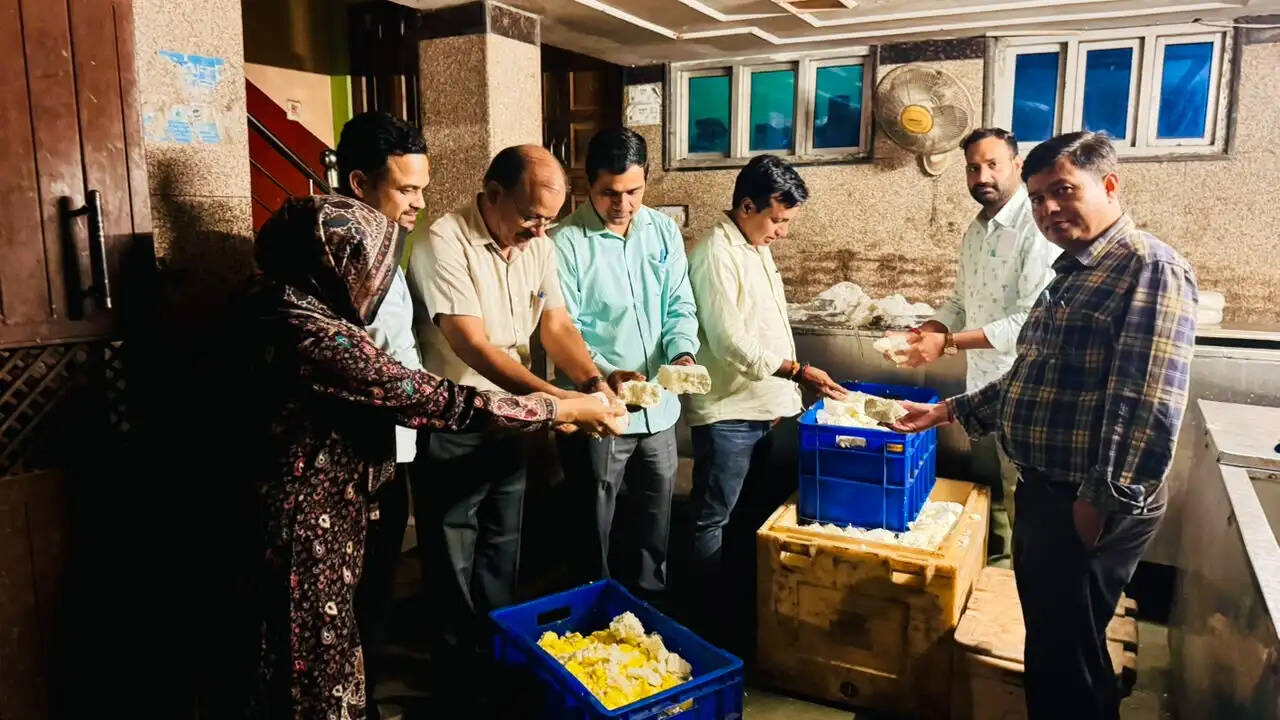 दीपावली से पहले जयपुर में खाद्य सुरक्षा विभाग ने नष्ट करवाया 520 किलो पनीर