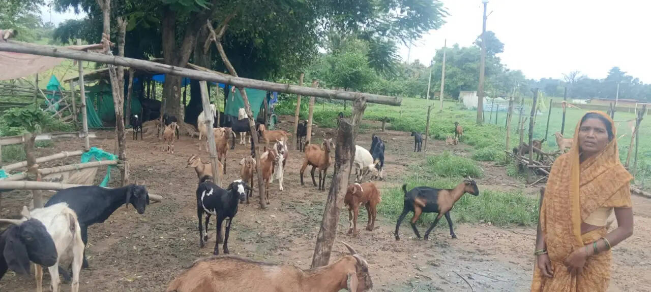 सेवा की कहानी’ : ’परंपरागत कार्य को व्यवसायिक साधन बनाकर आगे बढ़ रहीं हैं पद्मावती’