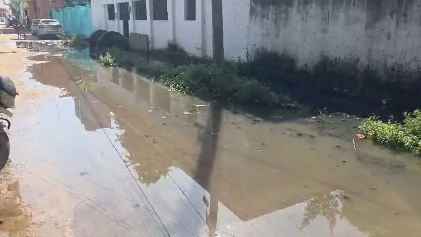 रानीसागर में सड़क पर जमा नाली का पानी, बीमारी फैलने की आशंका से दहशत