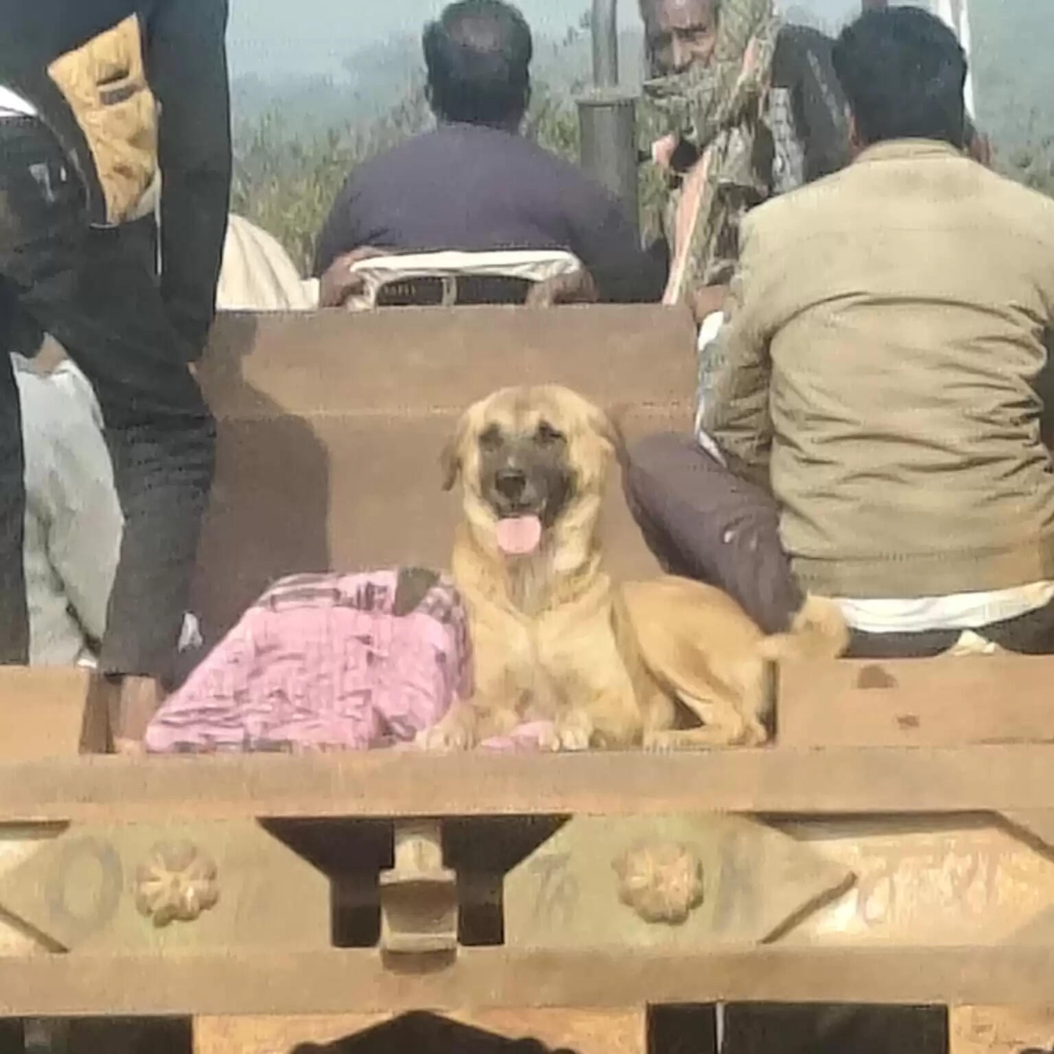 बेजुबान की वफादारी: मालिक ने तोड़ा दम, तो शव के पास रातभर बैठा रहा कुत्ता; पीएम कराने भी साथ गया 'मोती'