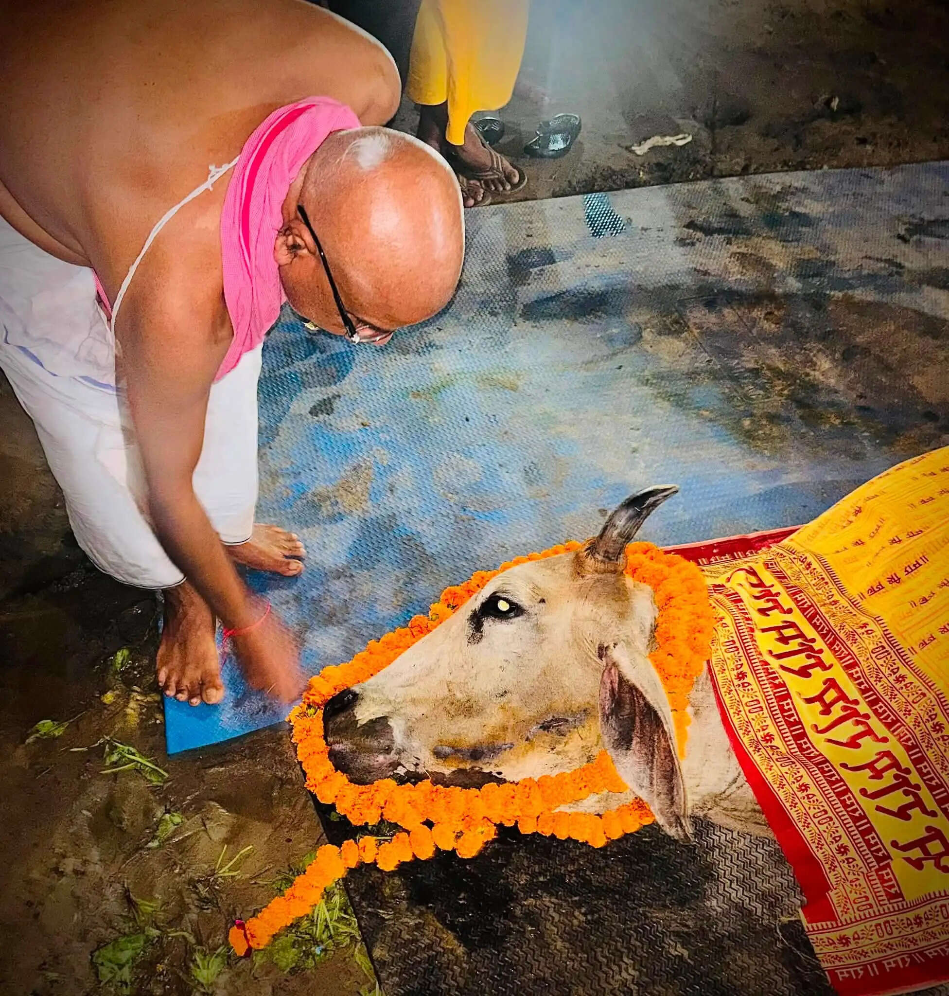 रामलला की अनन्य भक्त गौमाता सरयू ने ली अंतिम विदाई