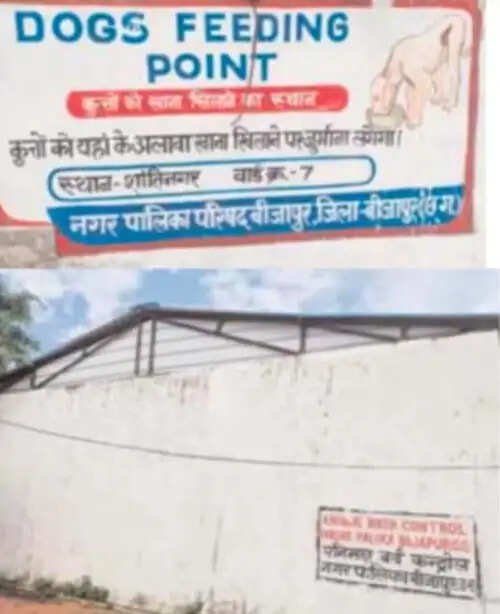 बीजापुर में कुत्तों का एसी वाला डॉग सेंटर यहां टीके लगेंगे, होगी नसबंदी