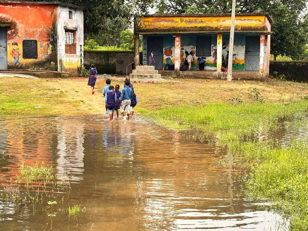 अनूपपुर: भरियाटोला के स्कूल-आंगनबाड़ी परिसर में महीनों से जलभराव, घुटने से अधिक पानी पार कर स्कूल पहुंच रहे बच्चे