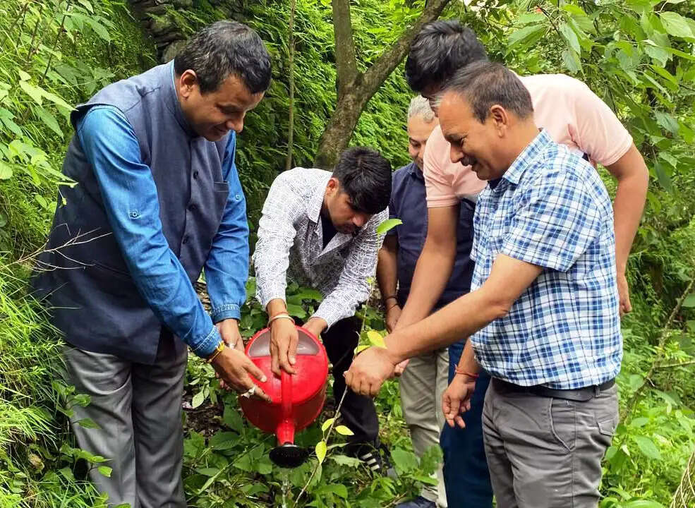 वनस्पति विज्ञान विभाग के मिशन ग्रीन के तहत राष्ट्रीय पर्यावरण संस्थान के निदेशक ने किया पौधरोपण