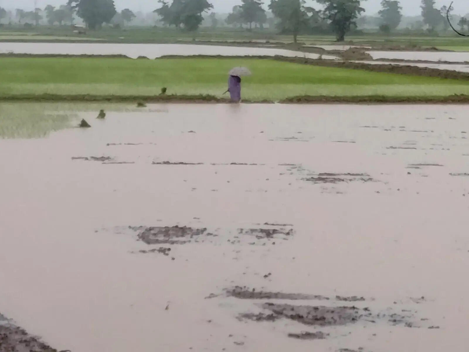 झमाझम बारिश से जनजीवन प्रभावित, किसानों के चेहरे खिले