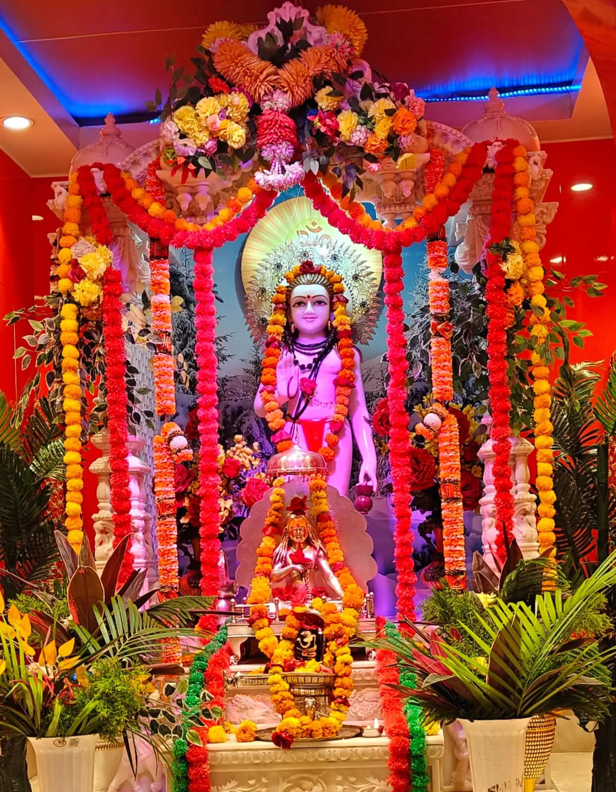 अनूपपुर: महाराज का संपूर्ण जीवन मानवता की सेवा, आध्यात्मिक और सामाजिक समरसता के लिए समर्पित रहा- हिमाद्री मुनि महाराज