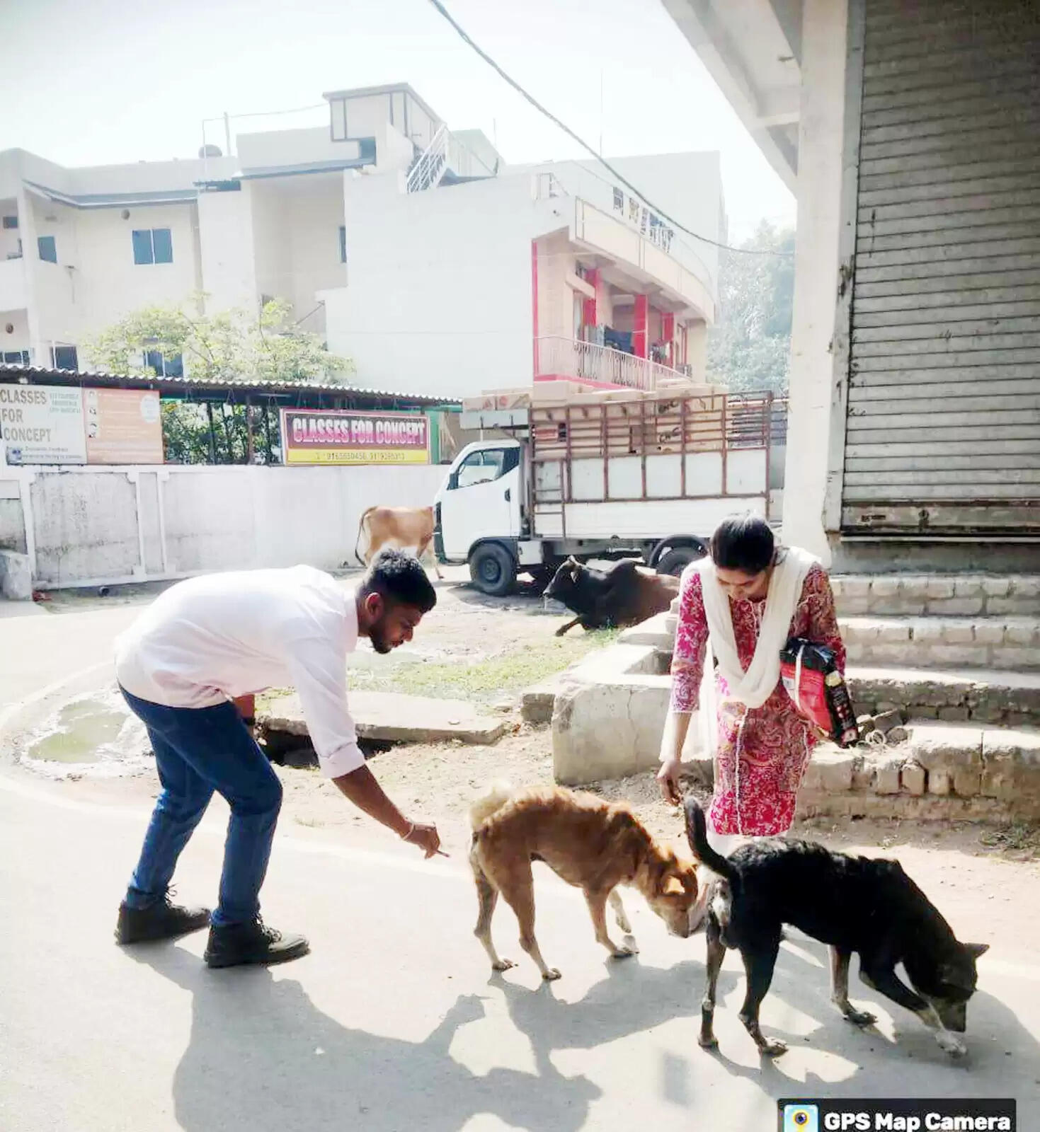 कोरबा : एंटी रैबीज टीकाकरण हेतु दशहरा मैदान में नाै दिसम्बर को लगेगा शिविर