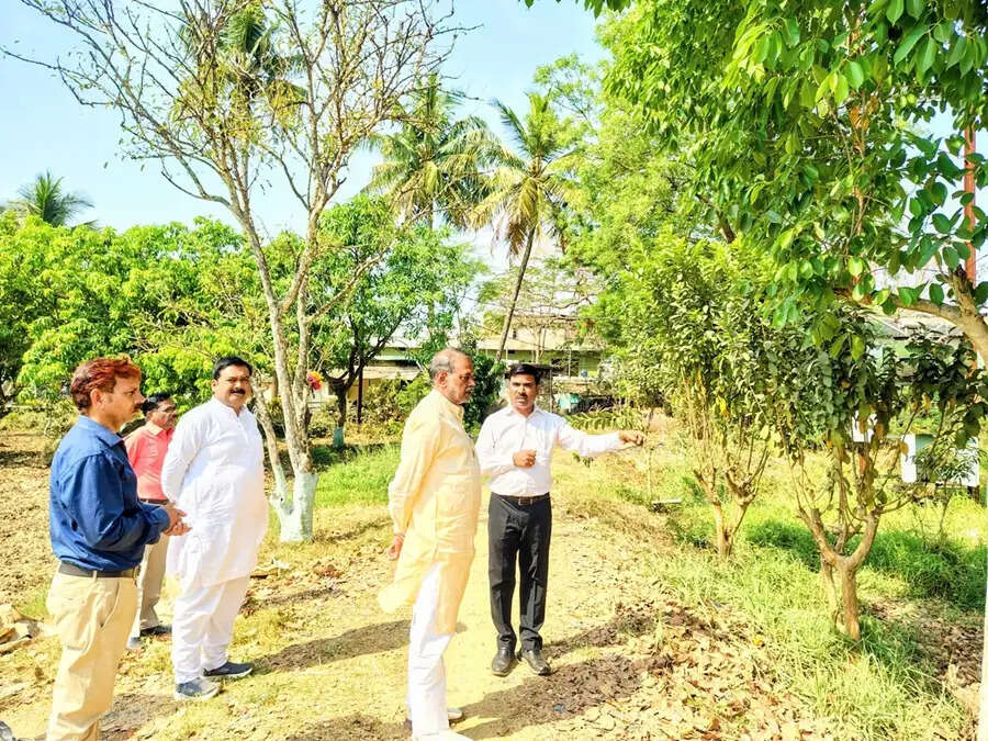 शासकीय नर्सरियों को बनाया जायेगा आदर्श नर्सरी : मंत्री कुशवाह