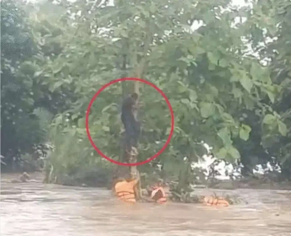 गुजरात में अति भारी बारिश, कई जिलों में रेड अलर्ट, नवसारी में करंट से तीन मजदूरों की मौत