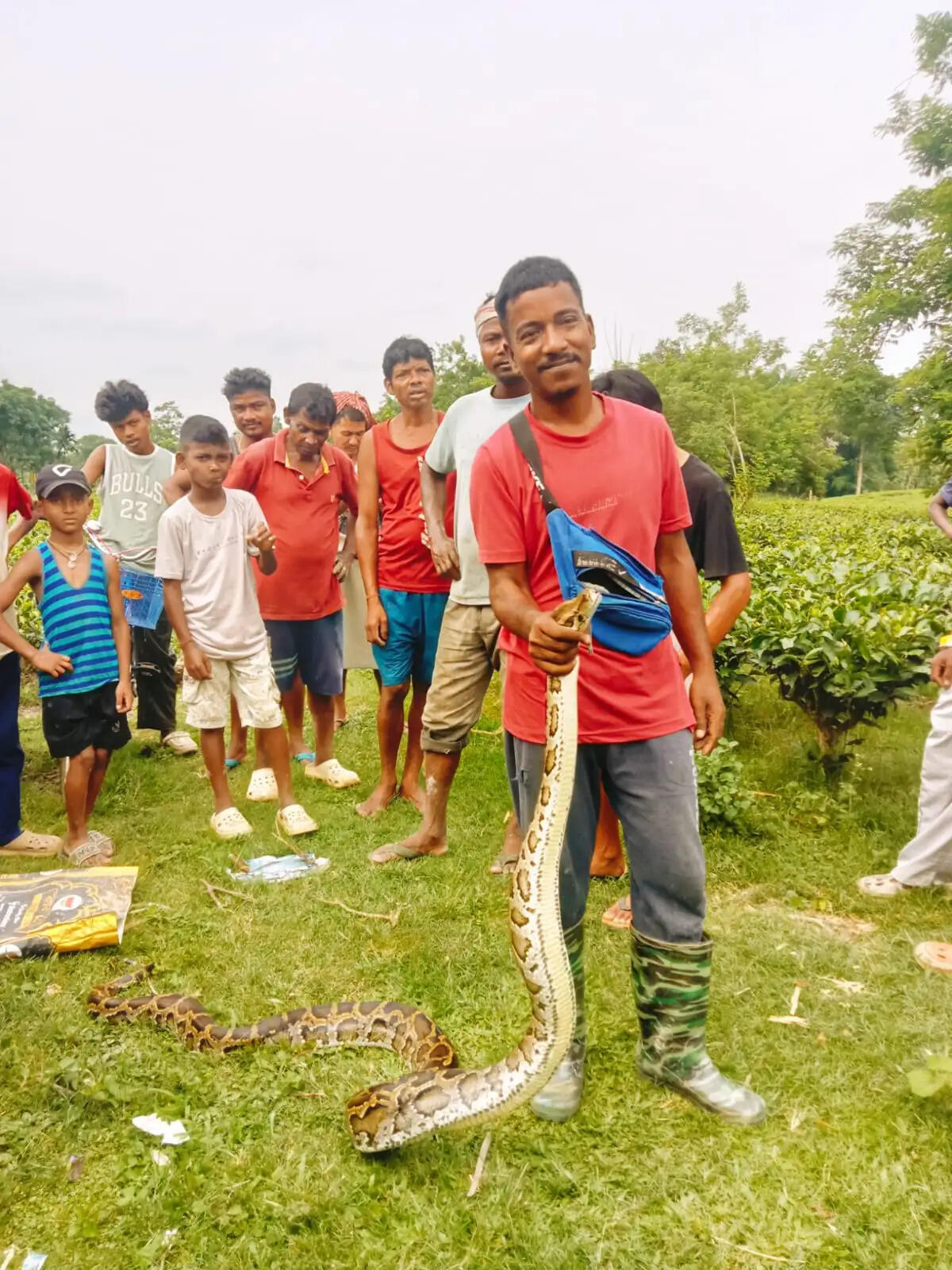 अजगर सांप पकड़कर लोगों ने वन विभाग को सौंपा