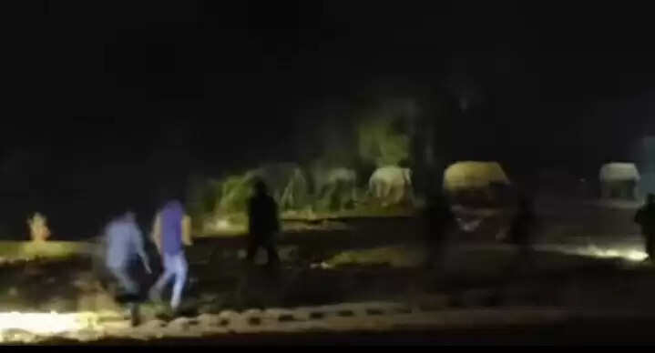 झाड़ग्राम में फिर हाथियों का आतंक, मशालें और टॉर्च लेकर ग्रामीणों ने खदेड़ा
