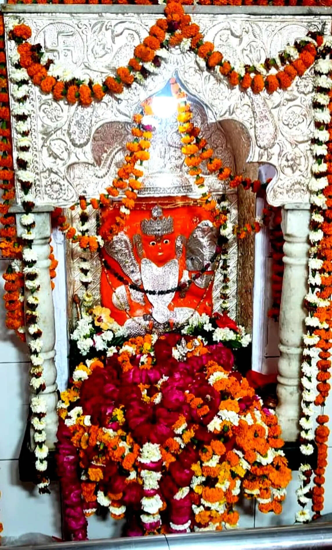 धौलपुर में श्रद्वा और उल्लास से मनाया हनुमान जन्मोत्सव