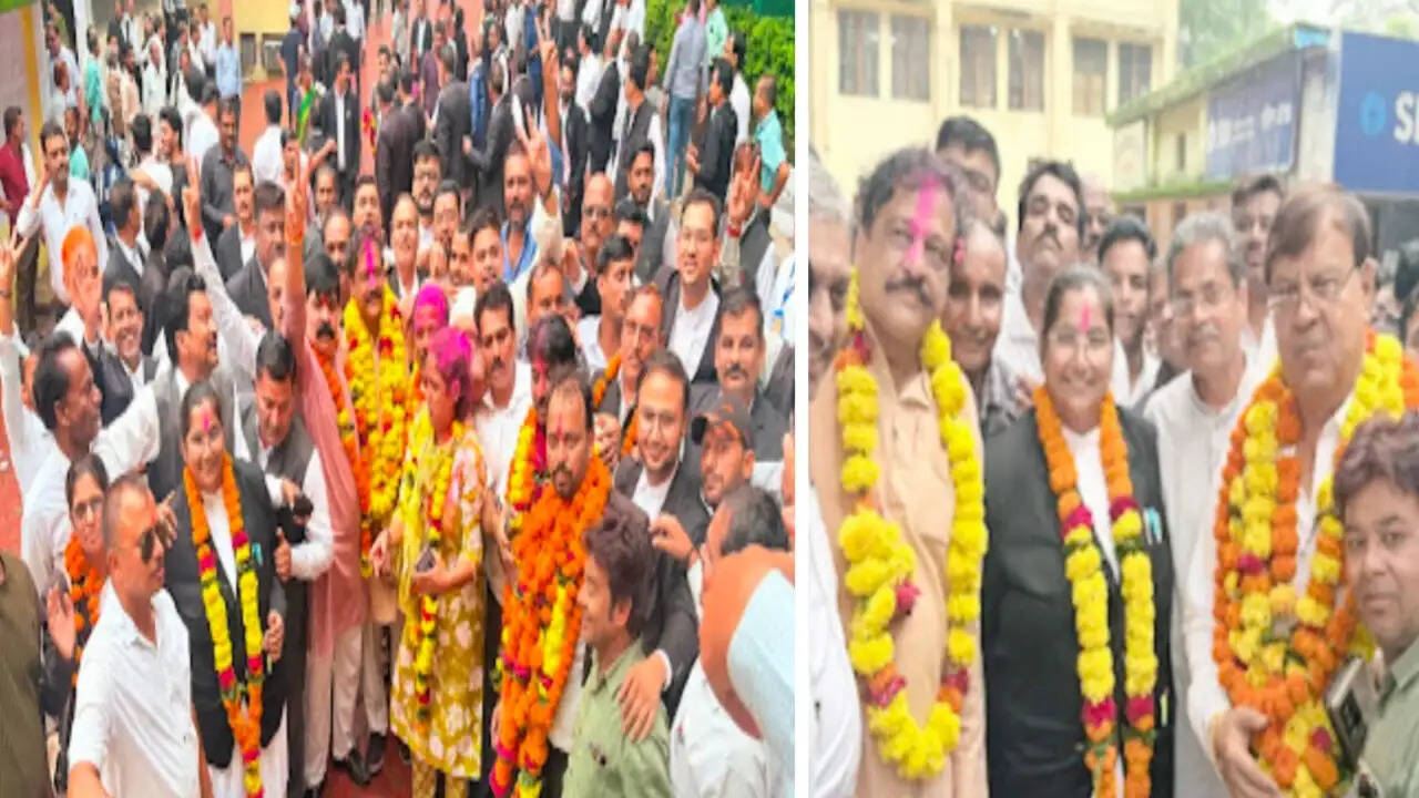 सागर : जिला अधिवक्ता संघ चुनाव परिणाम घोषित, डॉ. अंकलेश्वर दुबे बने अध्यक्ष