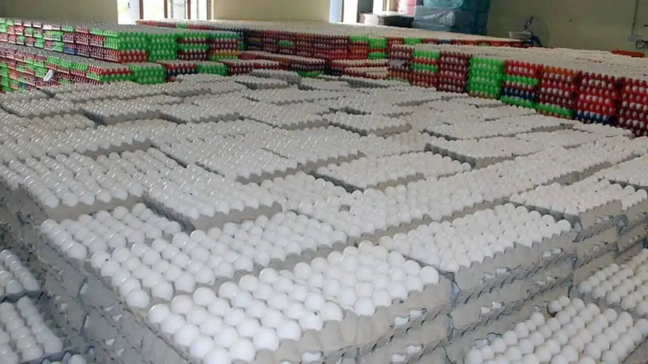 पश्चिम एशिया में से तमिलनाडु के नमक्कल में अंडा उद्योग प्रभावित, कीमतों में भारी गिरावट