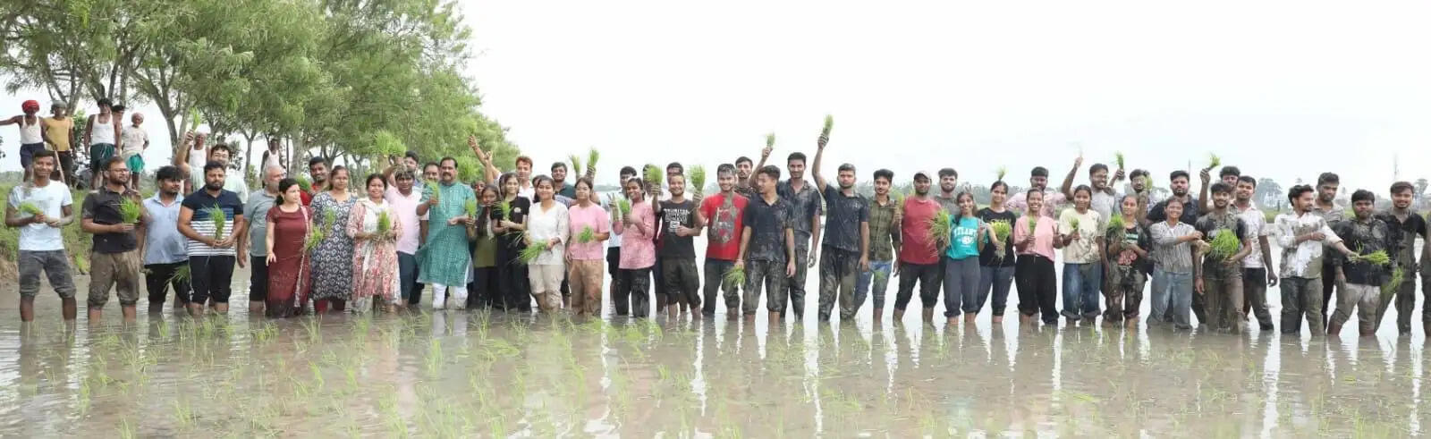 धान रोपनी कार्यक्रम में शामिल हुए बीएयू के कुलपति
