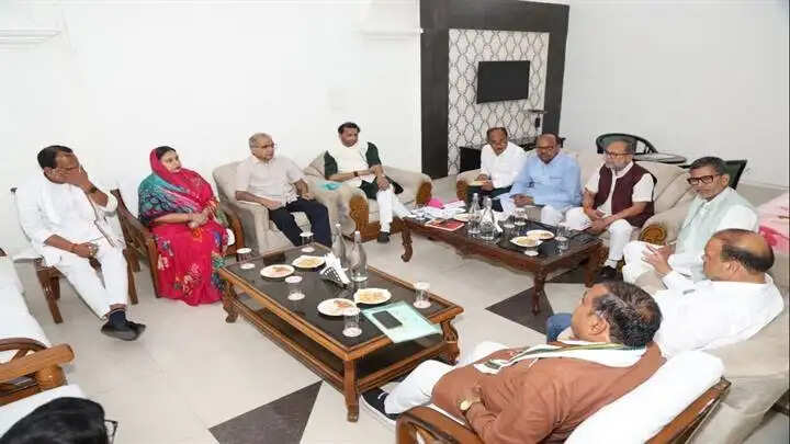 नियोजित विकास के लिए समेकित कार्य योजना बनाएं : पवैया