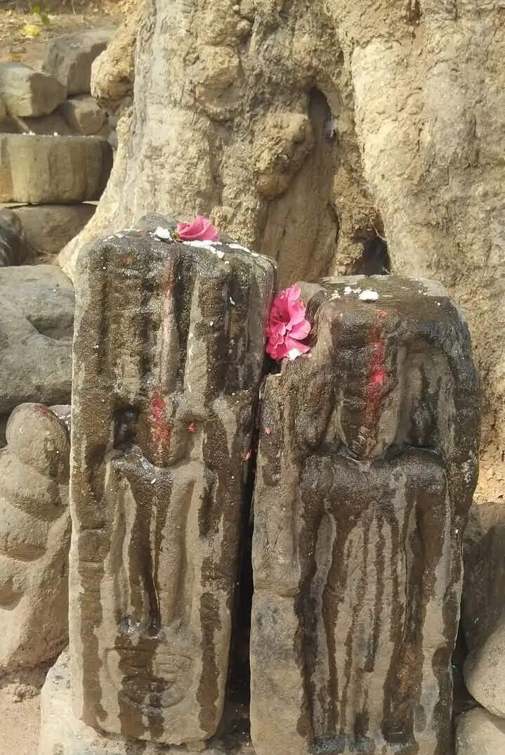 लोगों की अटूट श्रद्धा का केंद्र है पीपल के पेड़ पर विराजमान शिवलिंग