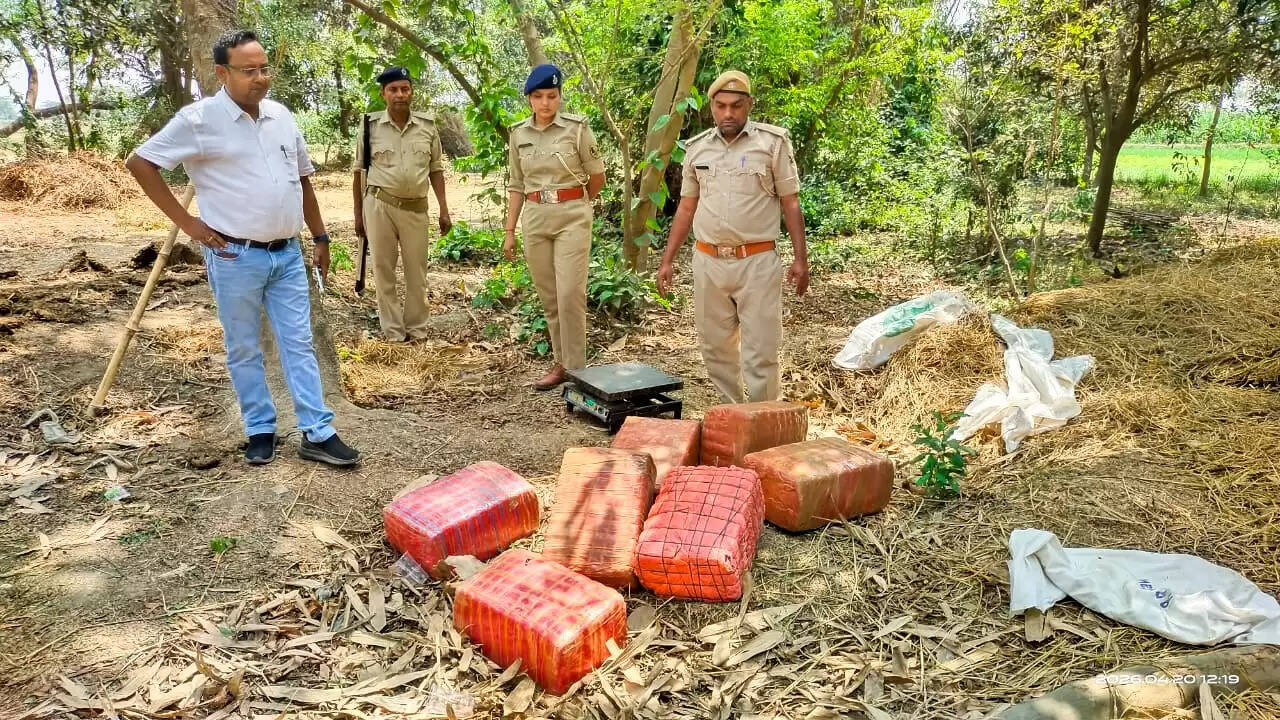 पुलिस की कारवाई में 104 किलो गांजा बरामद