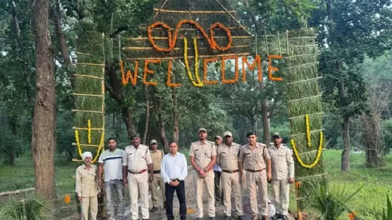 मप्र का बांधवगढ़ रिजर्व तीन माह के इंतजार के बाद खुला, पहले दिन बाघिन के दीदार से पर्यटकों में उत्साह