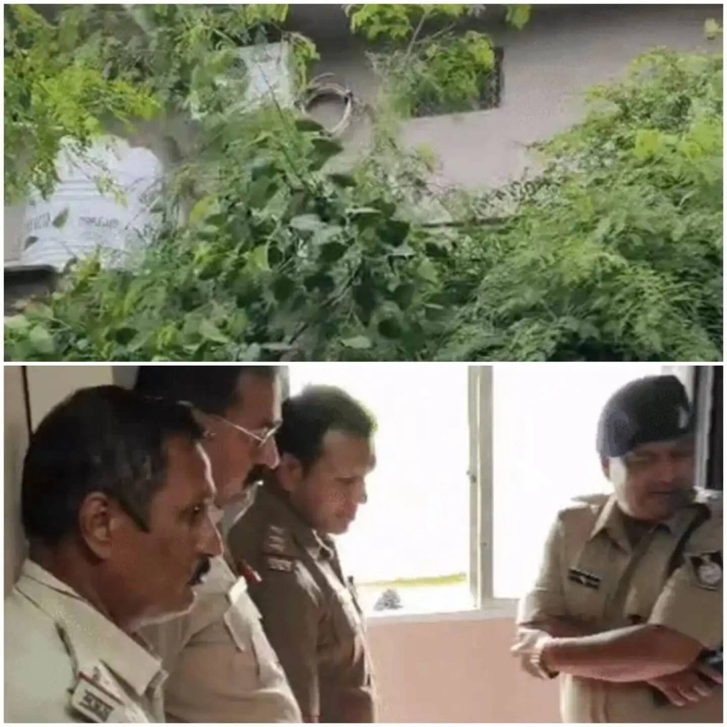 राजगढ़ में आंगनबाड़ी कार्यकर्ता के घर लाखों की लूट, चाकू की नोक पर बंधक बनाकर नकदी और जेवर ले गए बदमाश