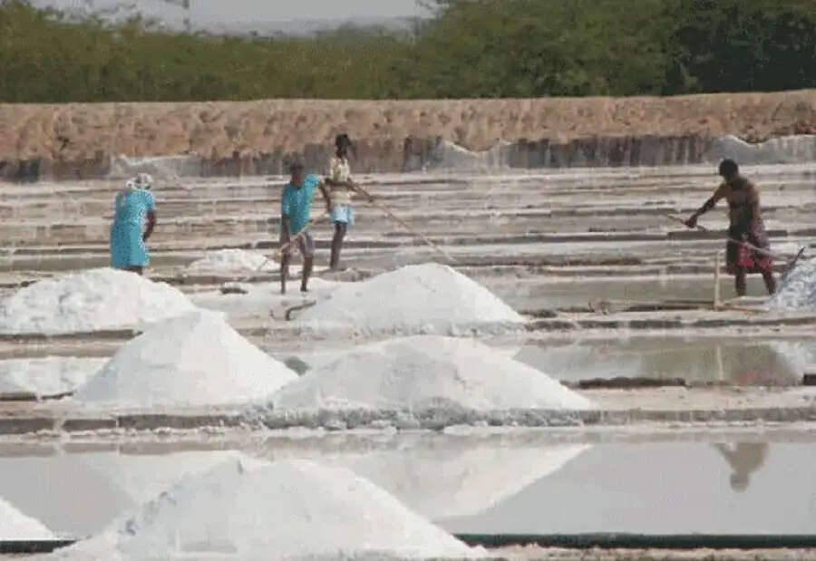 नमक उद्योग को बढ़ावा देने के लिए सरकार का बड़ा कदम: भूखंड आवंटन अब ई-ऑक्शन से