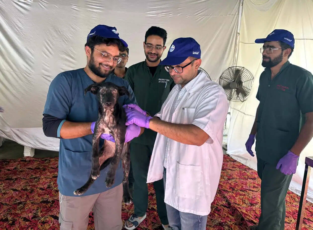 हिसार : ‘वन हेल्थ’ की अवधारणा को साकार करने में भी अहम भूमिका निभाते पशु चिकित्सक : डॉ. विनोद कुमार वर्मा