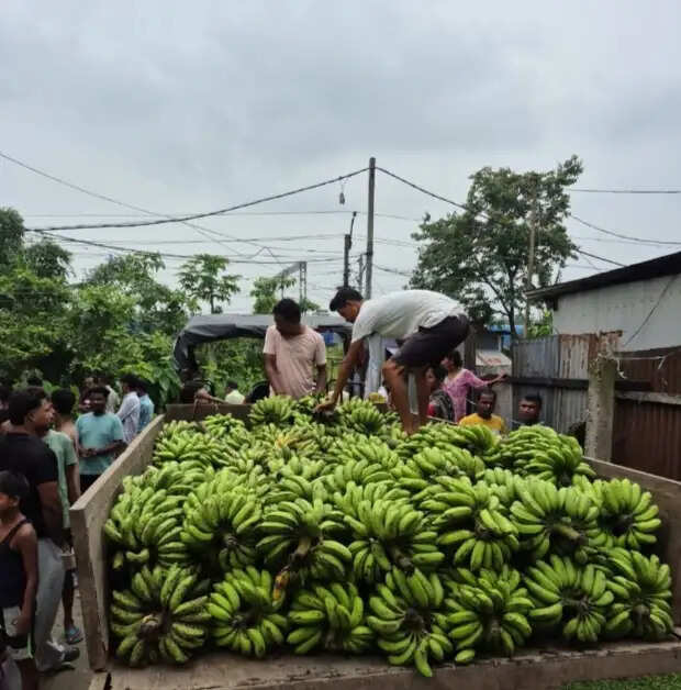 फलों के नाम पर परोसा जा रहा ज़हर, कई क्विंटल केला जब्त