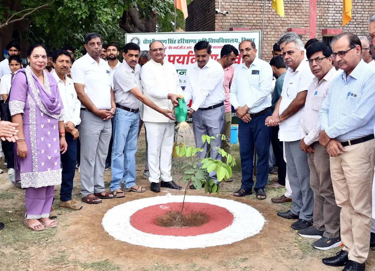 हिसार : अधिक से अधिक पौधे लगाकर पर्यावरण को स्वच्छ बनाएं : प्रो. बीआर कम्बोज