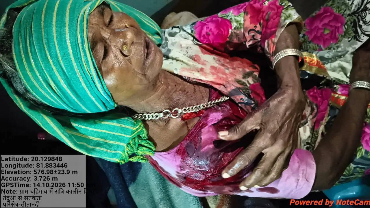 बैल का शिकार करने गांव पहुंचा तेंदुआ, हमले में मेहमान और पड़ोसी सहित तीन घायल