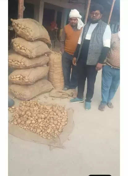 फर्रुखाबाद में किसानाें काे लागत भी नहीं मिल रही, औधे मुँह गिरे आलू के भाव