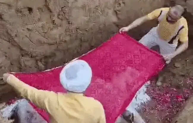 सोनीपत: गाय को बेटी मानकर पाला, मौत पर दी वैदिक रीति से विदाई