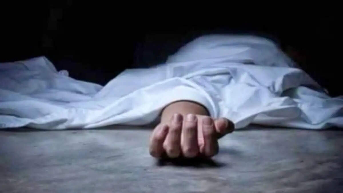 शिमला : ड्रोन सर्च में लापता युवक का शव बरामद, नाले में पेड़ से लटका मिला