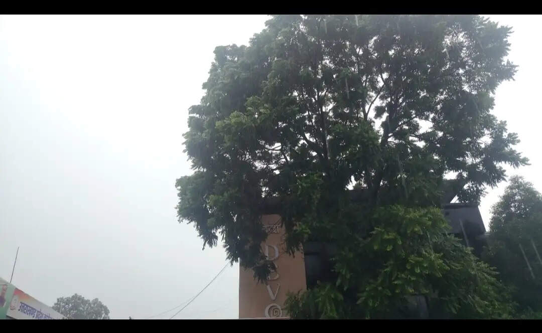 उत्तराखंड में मानसून फिर सक्रिय, 10 जिलों में भारी बारिश का अलर्ट; 79 सड़कें बंद