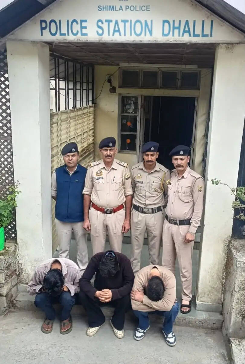 शिमला : किराये के कमरे से 6 ग्राम चिट्टा बरामद, तीन युवक गिरफ्तार