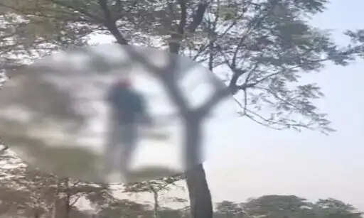 जांजगीर-चांपा में युवक का शव पेड़ पर लटका मिला, पुलिस जांच जारी