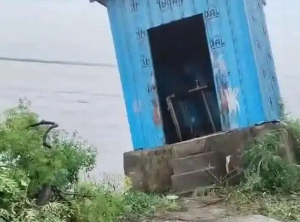 किशनपुर के पचगछिया में सरकारी जलमीनार नदी में समाई, 15 घर कटाव की भेंट