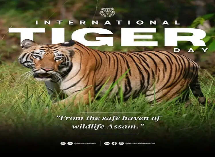 असम : मुख्यमंत्री ने इंटरनेशनल टाइगर डे पर बाघ संरक्षण की सफलता का किया ज़िक्र