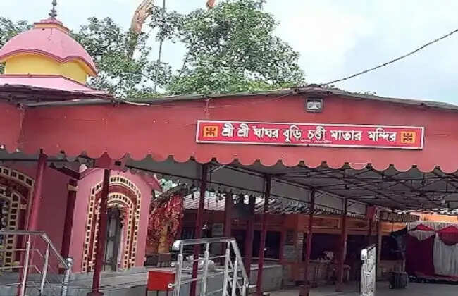 निर्दलीय उम्मीदवार राजन्या हलदर ने किया चुनाव प्रचार, पूर्व विधायकों पर साधा निशान