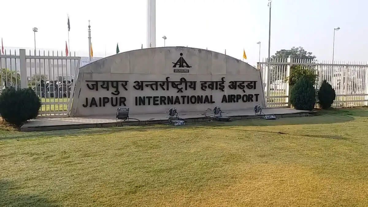 एयरपोर्ट से उड़ान भरने के बाद विमान से टकराया पक्षी, सुरक्षित लैंडिंग के बाद फिर रवाना