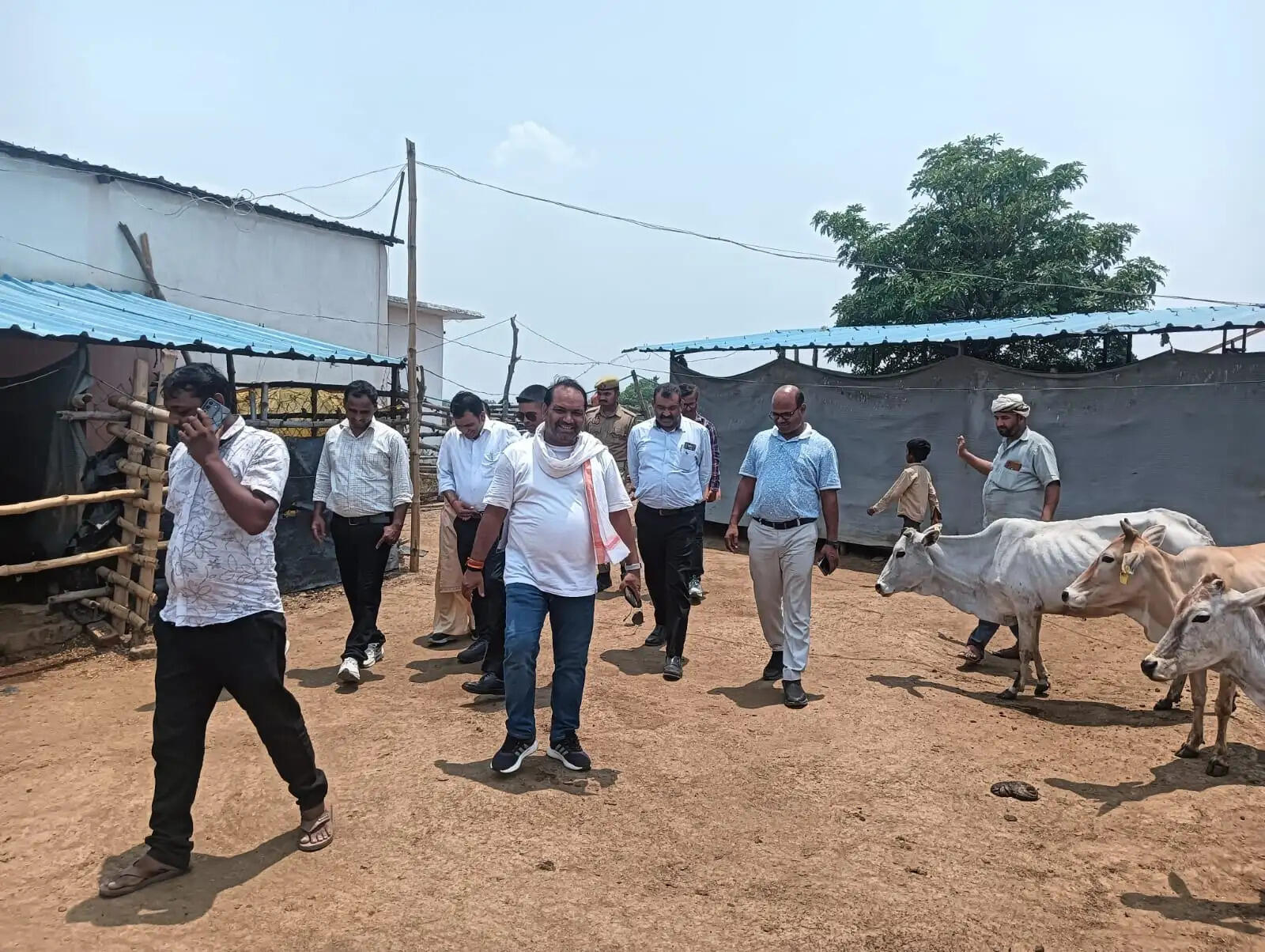 जेठ की तपिश में धूप में खड़े मिले गोवंश, निरीक्षण में खुली व्यवस्थाओं की पोल