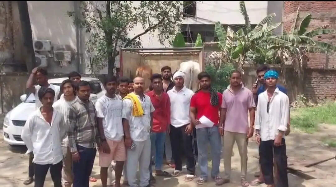 गौवंश से लदा वाहन पकड़ाया, एक आरोपित हिरासत में
