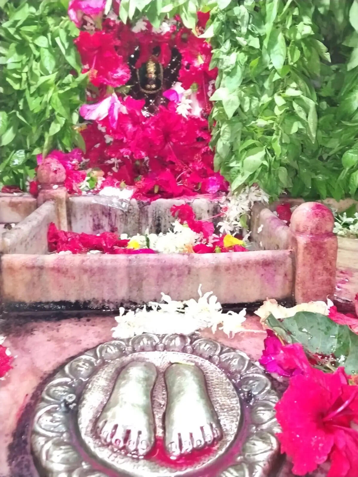 मीरजापुर : अजा एकादशी पर मां शीतला के दरबार में उमड़े श्रद्धालु