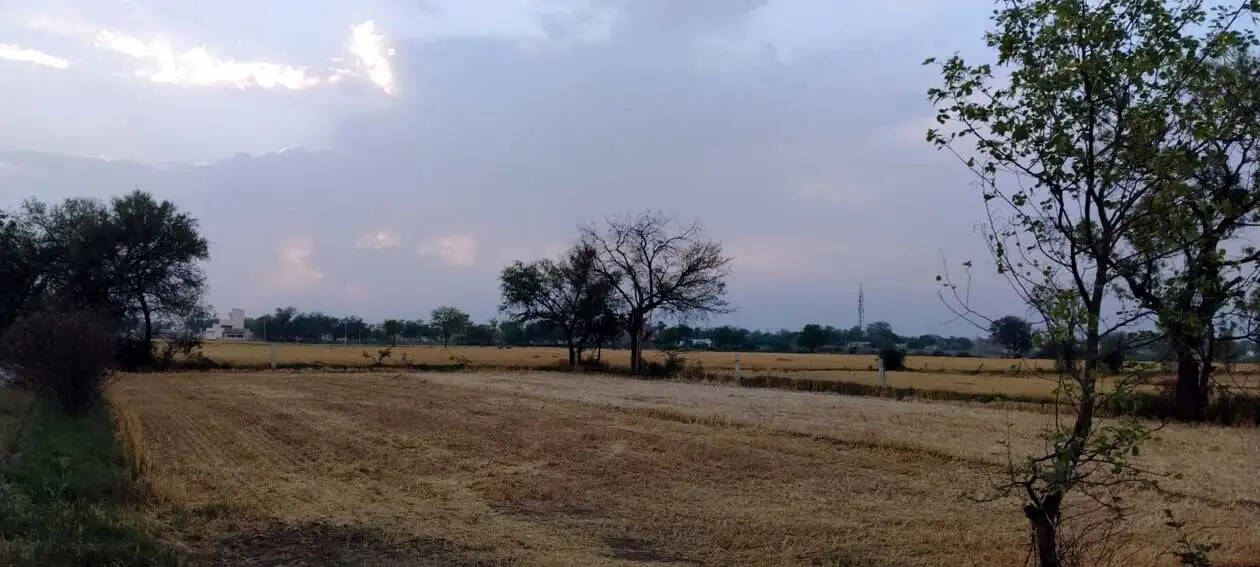 हिसार : बदले मौसम के साथ ही प्रदेश के तापमान में आई गिरावट