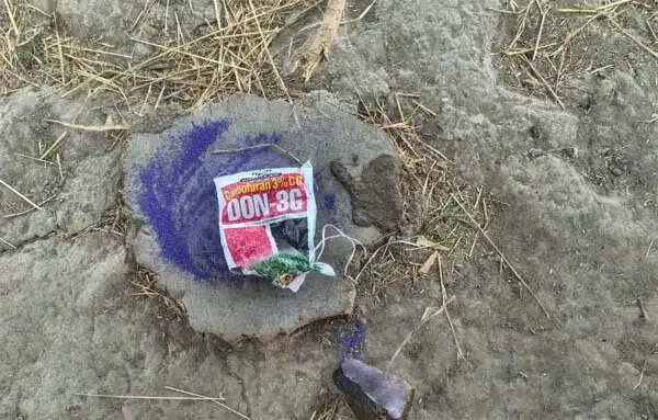 कांकेर : कीटनाशक पीकर मामा-भांजी ने दी जान, खेत में मिले दोनों के शव